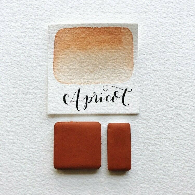 Apricot