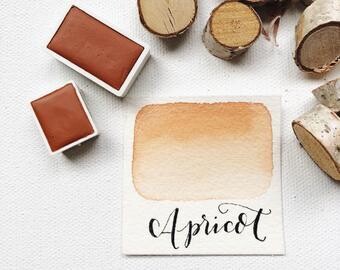 Apricot