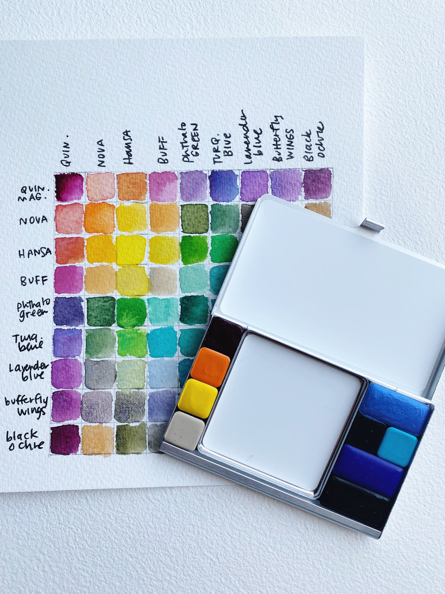 🦋 The Flutter Palette — Collaboration with Jean Choe