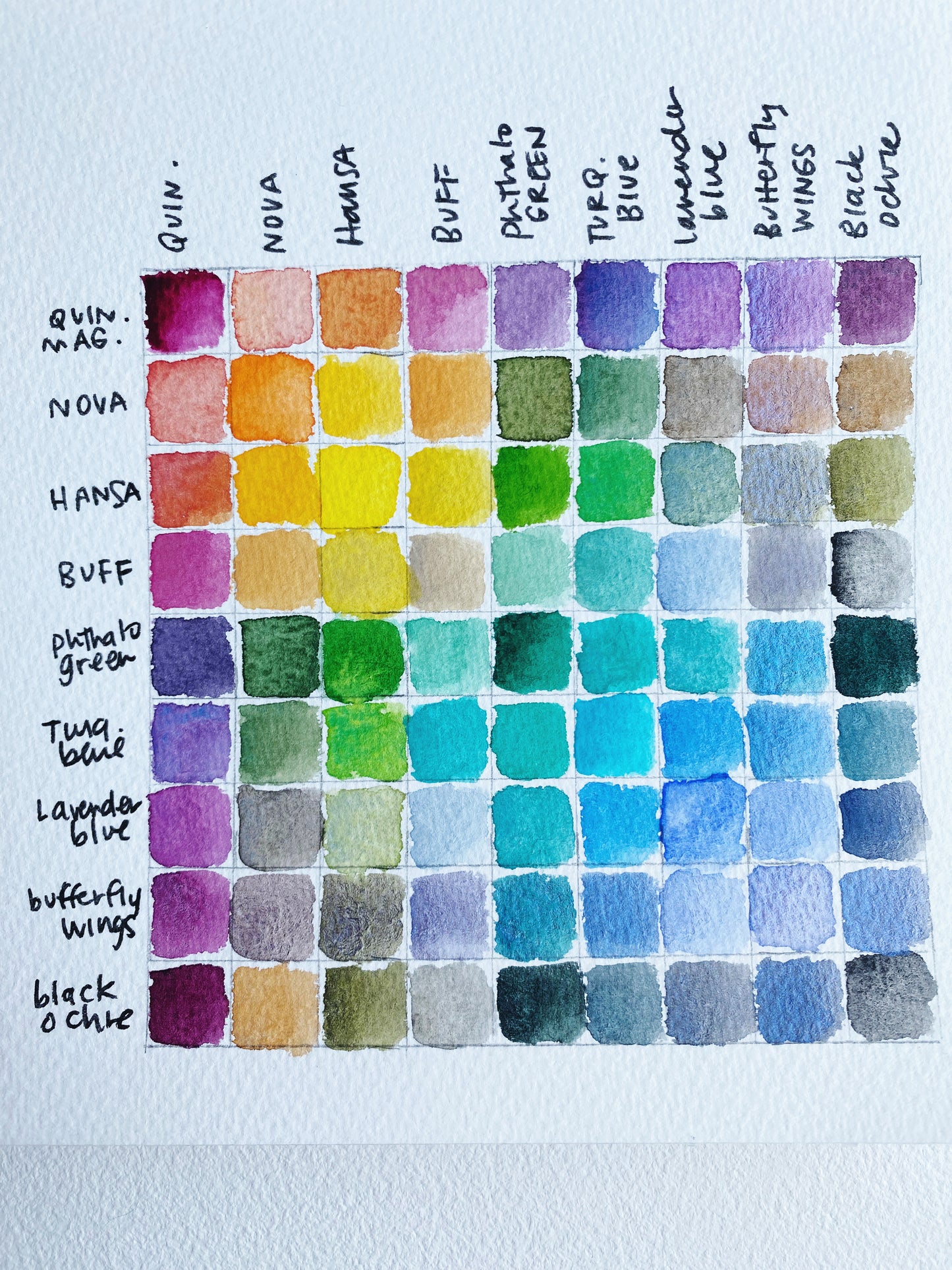 🦋 The Flutter Palette — Collaboration with Jean Choe