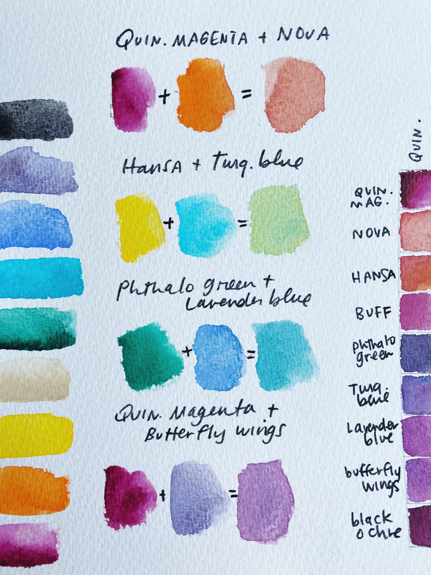 🦋 The Flutter Palette — Collaboration with Jean Choe