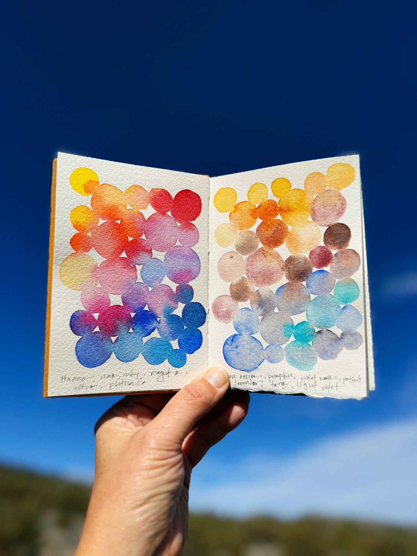 The ColorPlay Palette — Collaboration with Lisa Spangler (@sideoats) - Folio Palette mini pans with XL mixing pans